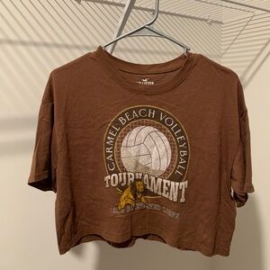 NWOT Hollister Brown Graphic Crop Top